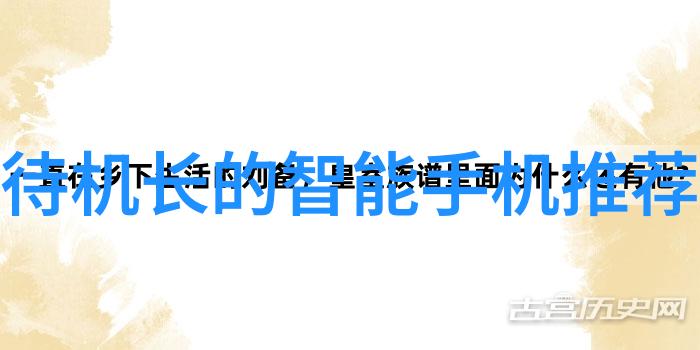 前一个后一个会撑坏的视频揭秘网络红人如何通过一连串爆款内容维持流量与影响力