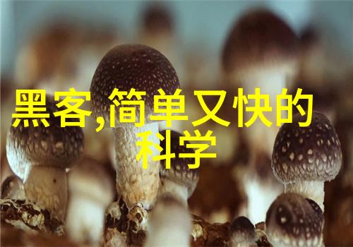 中欧式客厅装修效果图我家里的温馨中欧风情大曝光