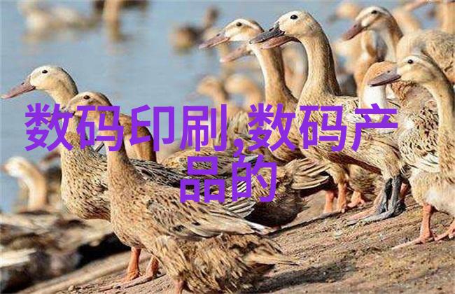 数字奇迹2023年夏日的无限冒险