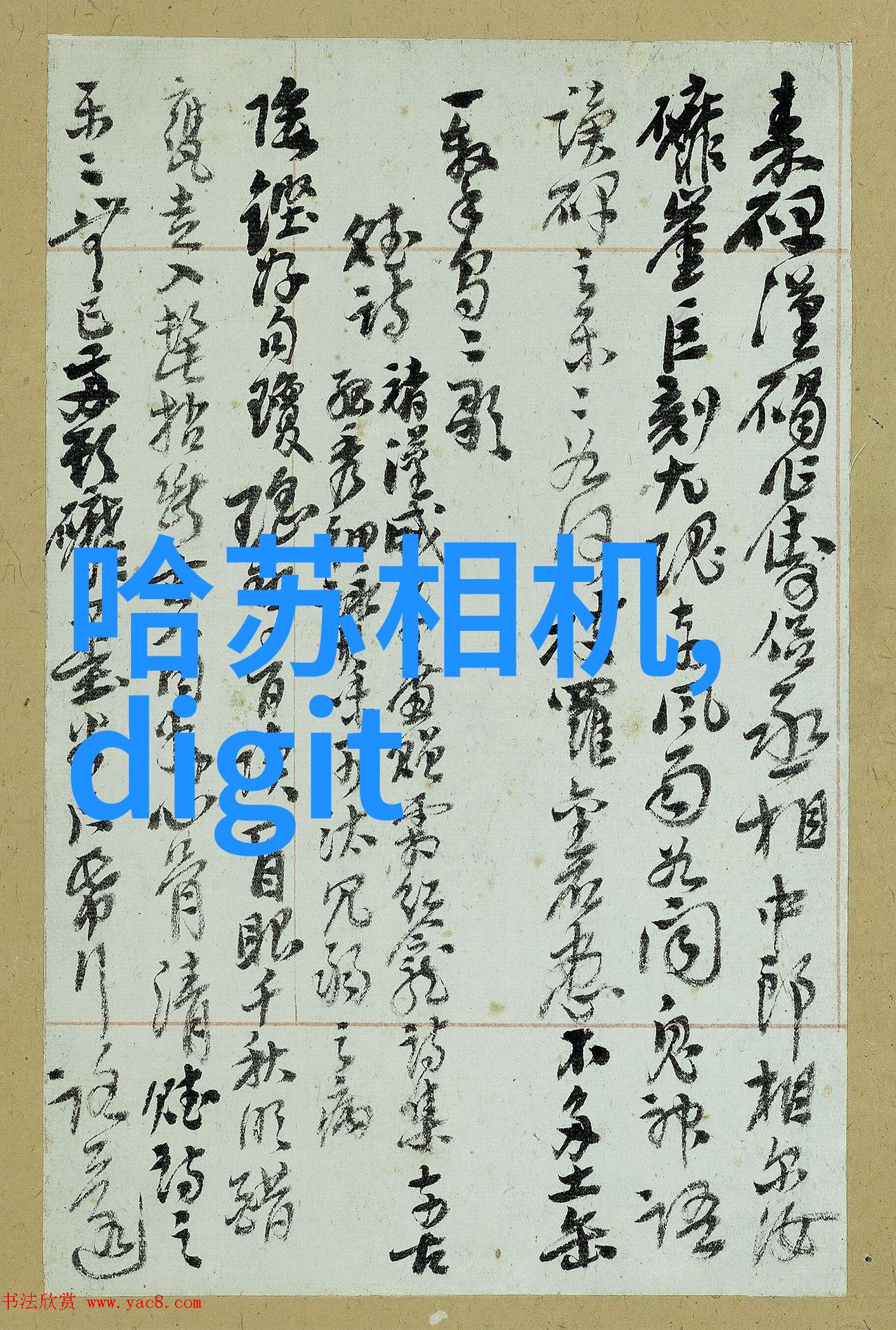 OPPO新机亮相预计2021年上市带来革命性设计