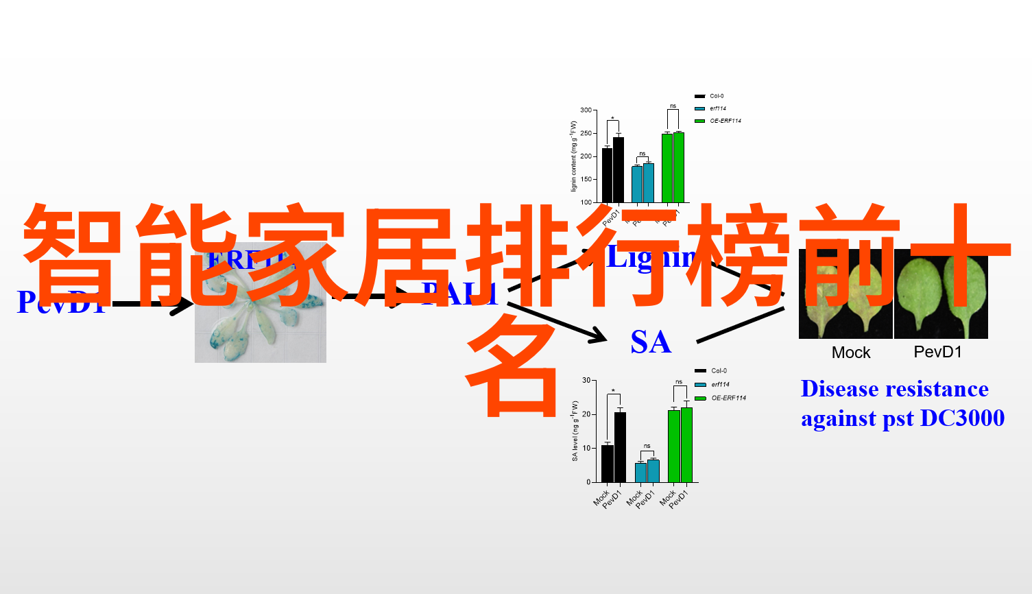 智能交通解决方案-高效共享如何通过大数据与物联网提升城市交通系统