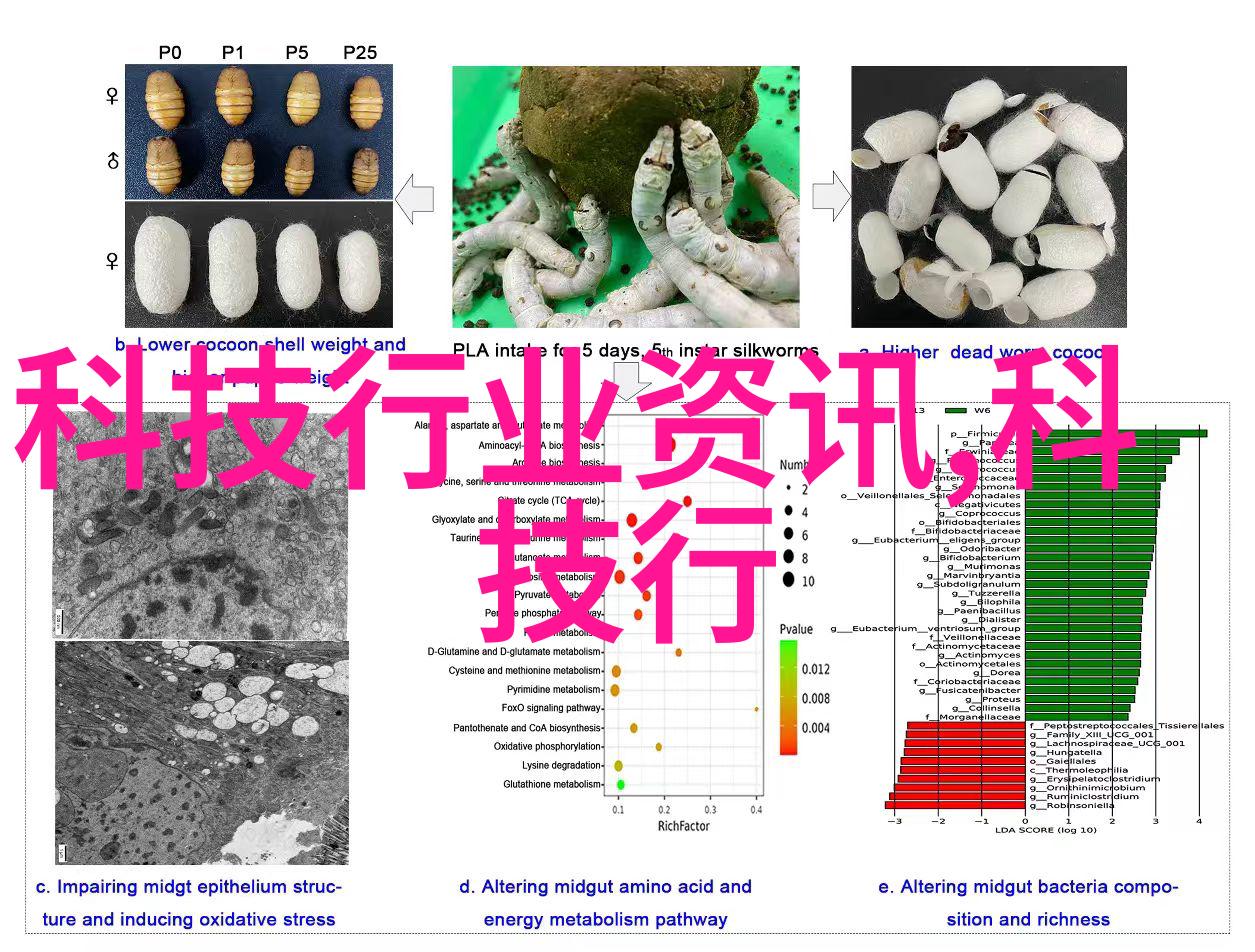 6平米小卧室改造简装我是如何在微薄的预算下打造出一个温馨的小避风港