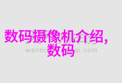 苏州大学应用技术学院在中国高等教育领域占据什么地位