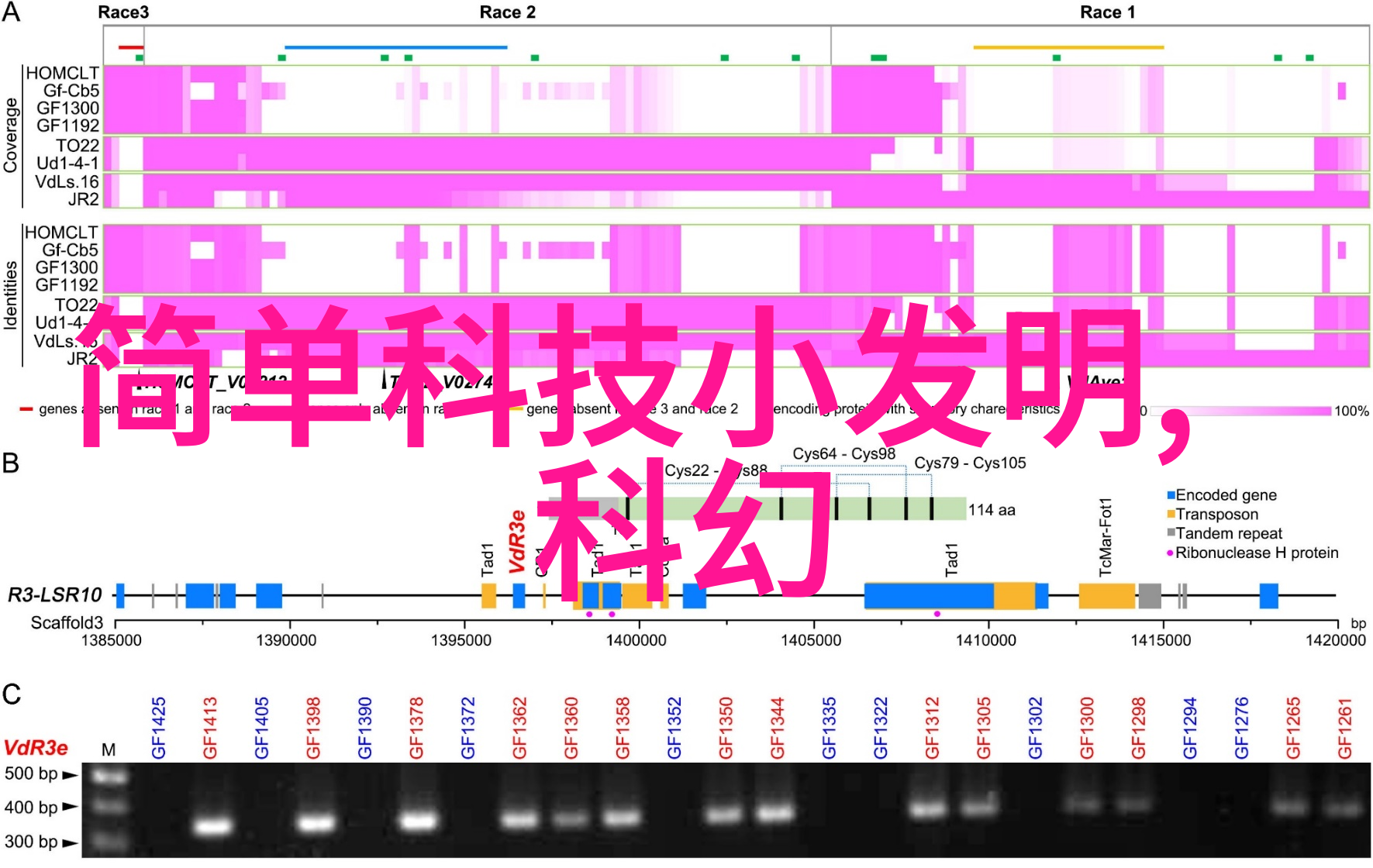 吉林财经大学东北地区的经济管理学府