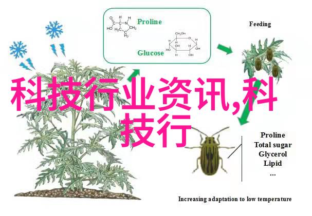 探索bx500型丝网波纹填料的性能优势