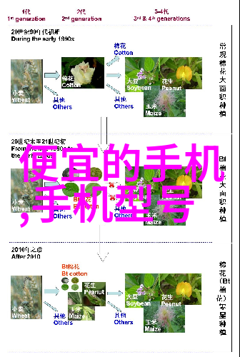 花间秘语揭秘兰花的语言世界