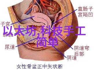 爱死亡和机器人我与铁血的舞伴一场关于爱死与机器人的奇幻交响