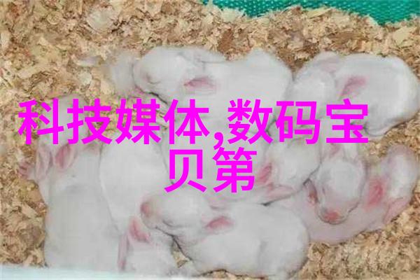 丝网波纹填料规整填料标准之谜如何确保材料质量