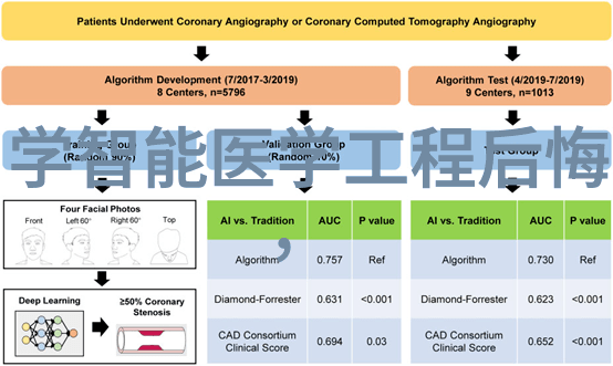 摄影教程捕捉光影的艺术光影摄影技巧