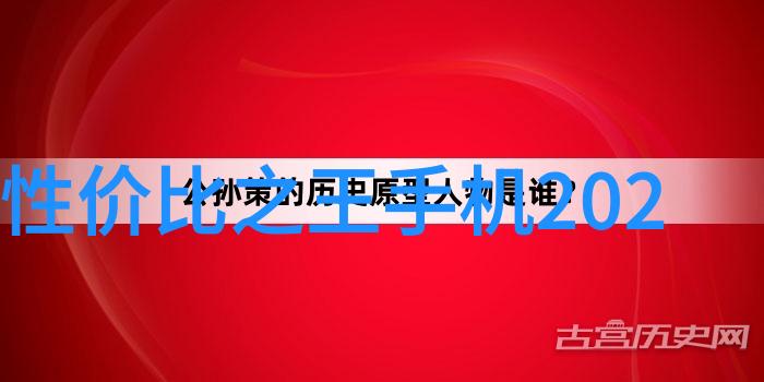 人物在客厅装饰中巧妙融合卫生间地面瓷砖选择搭配