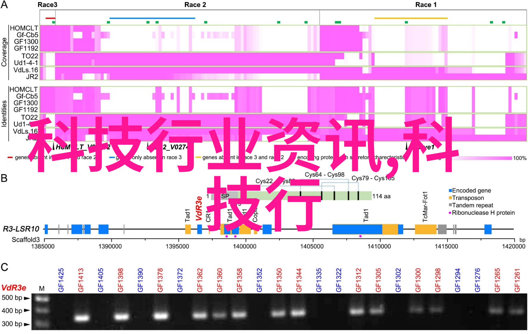 数码宝贝超百科大图鉴未知领域的守护者们在哪里