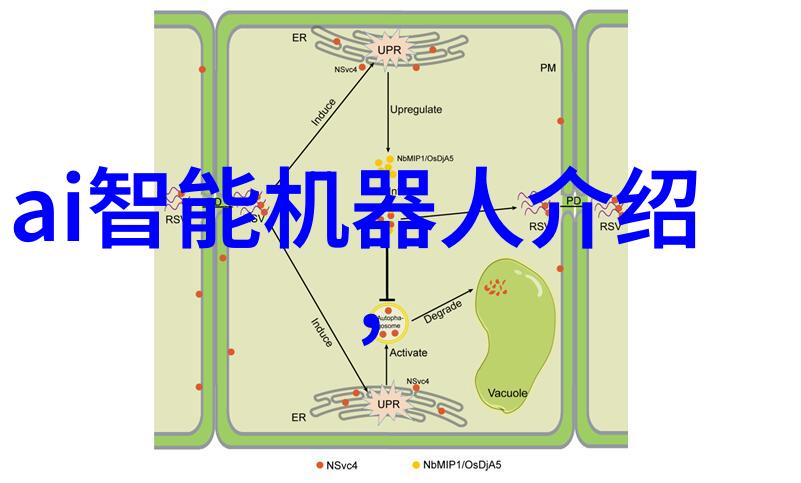 如何通过姿势和表情增强人像照片的故事性