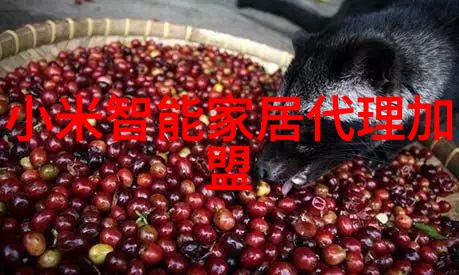 环保与节能螺旋卸料离心机如何实现双重目标