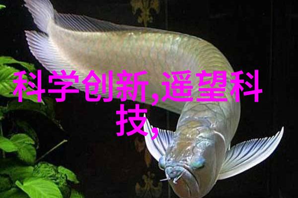 数据驱动油水分离器使用方法与成本分析