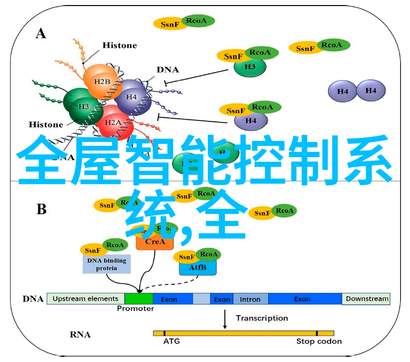 科技发展的新纪元人工智能与物联网的融合革新