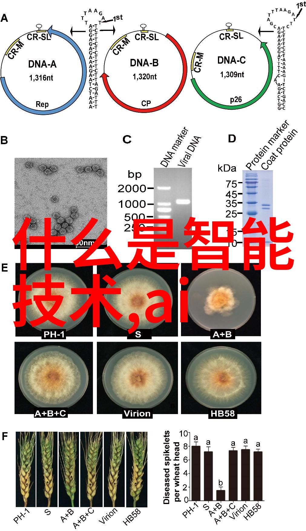 主题我来告诉你哪些智能装备专业最受欢迎