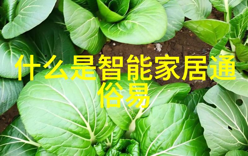 智能制造从工厂的机械之心到创意的无限可能