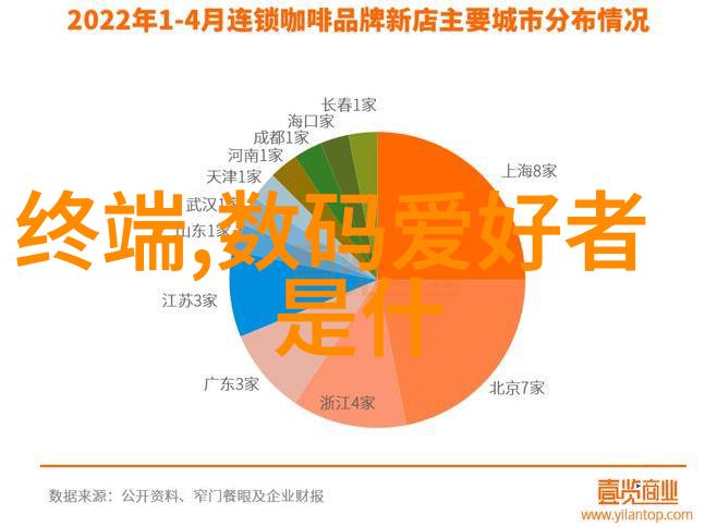 庆祝节日-喜迎春节的摄影之旅