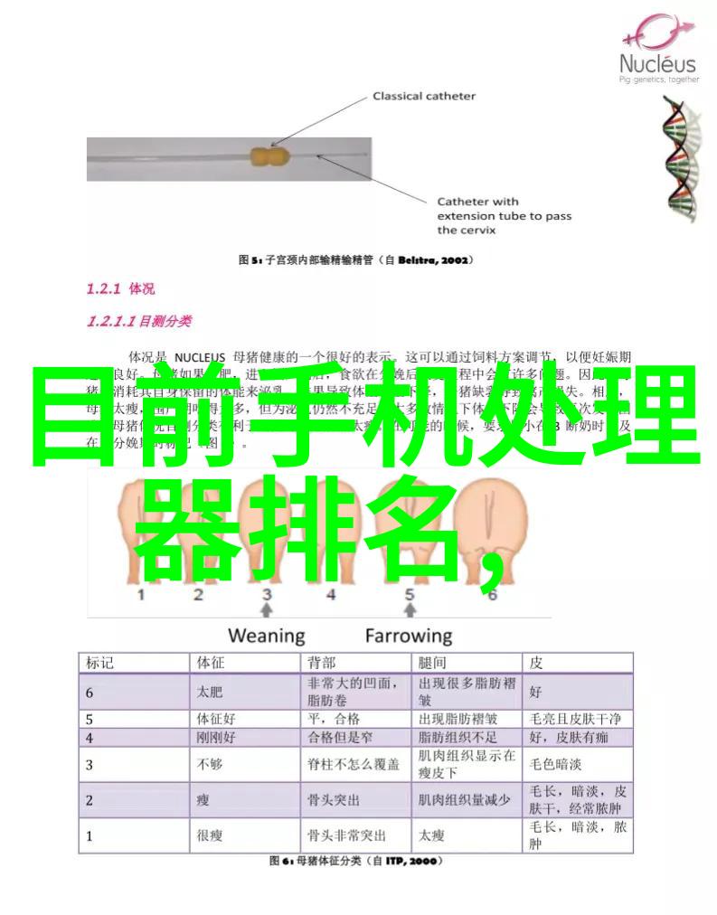 中国芯片产业的新霸主十大龙头企业的崛起与发展