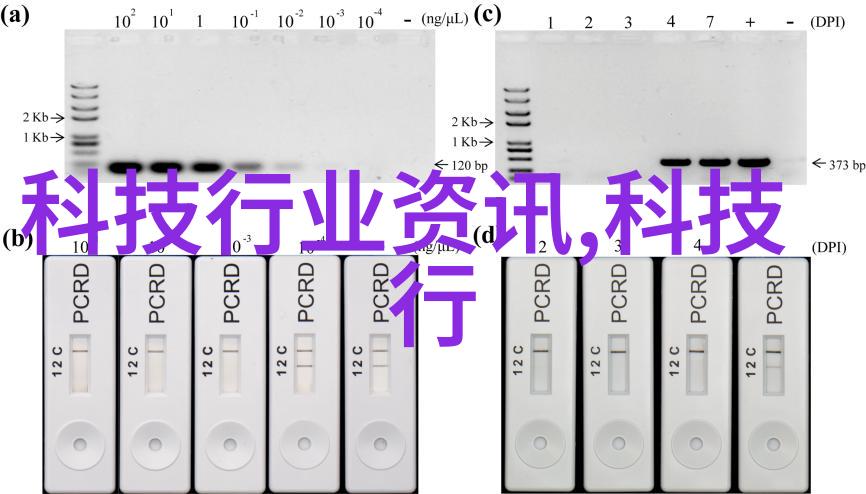 手机最新消息发布我的生活小变革