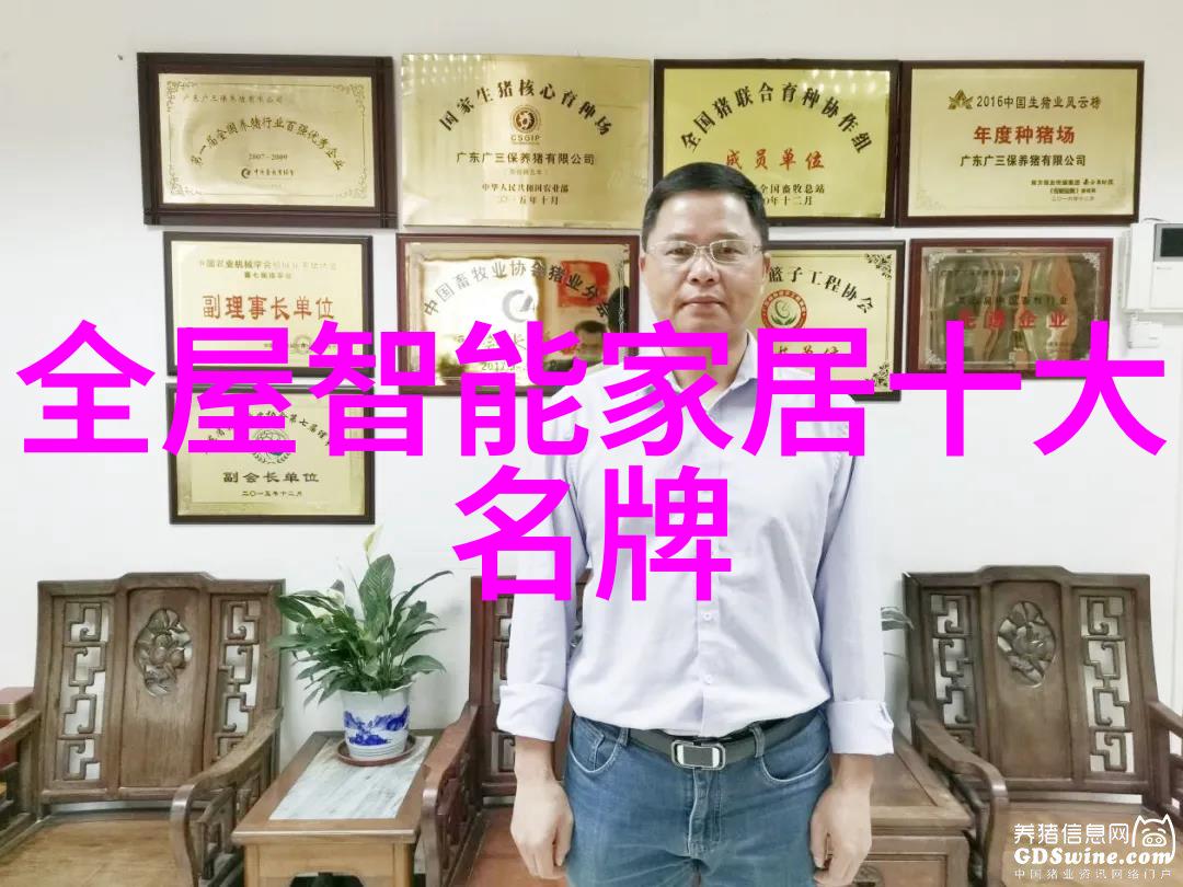 智能装备是做什么的 - 智能穿戴技术如何提升我们的生活质量