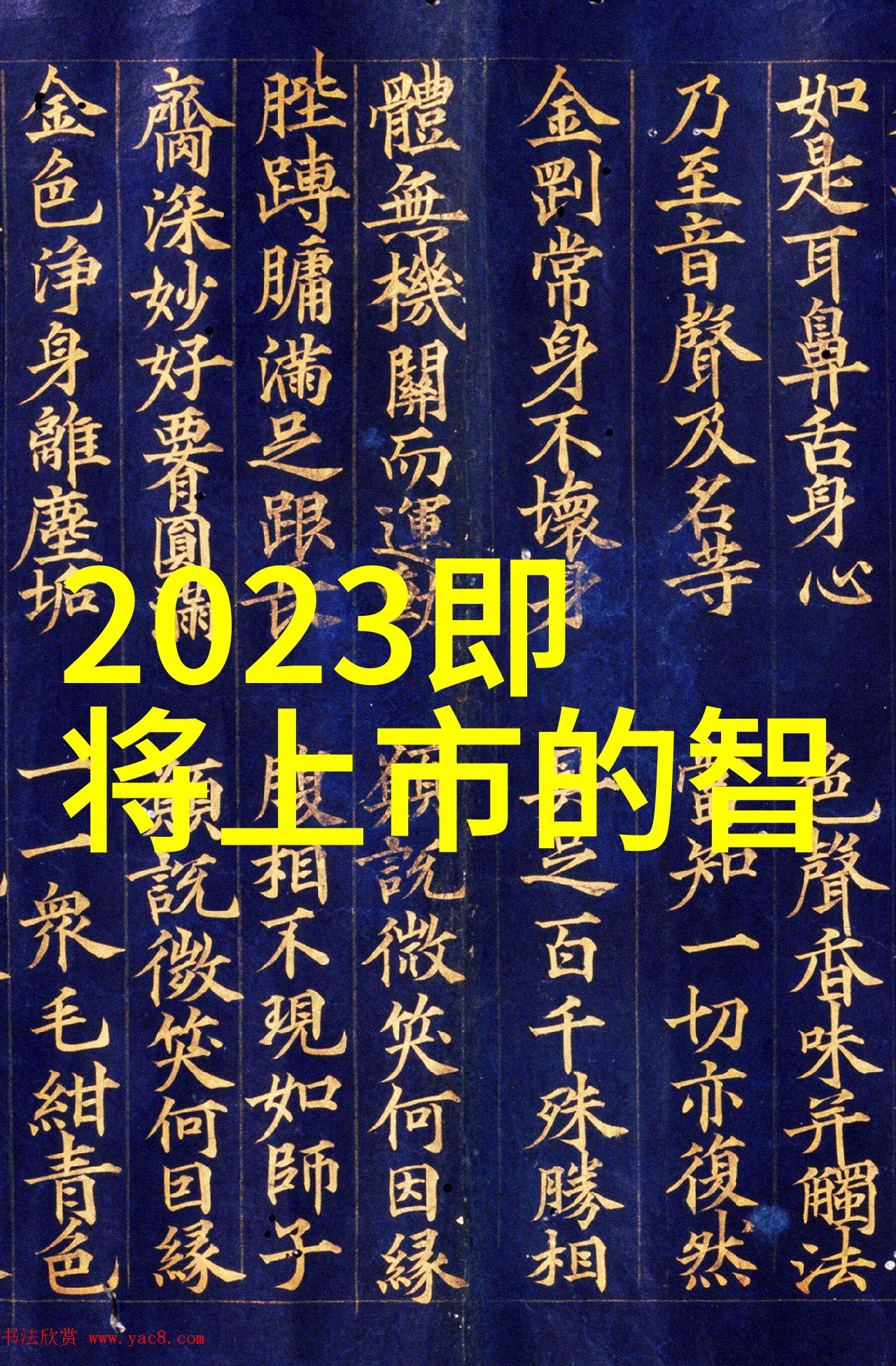 智慧探索深入解读倍智人才测评138题的奥秘与应用