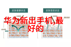 镜头下的世界摄影160个名词的艺术探索