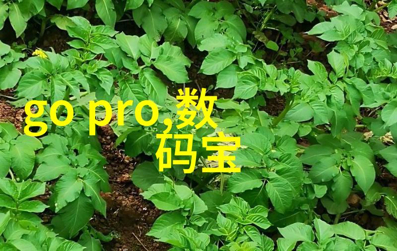 茄子香草草莓丝瓜榴莲污 我家的菜园子乱了套怎么处理这些杂七杂八的蔬果