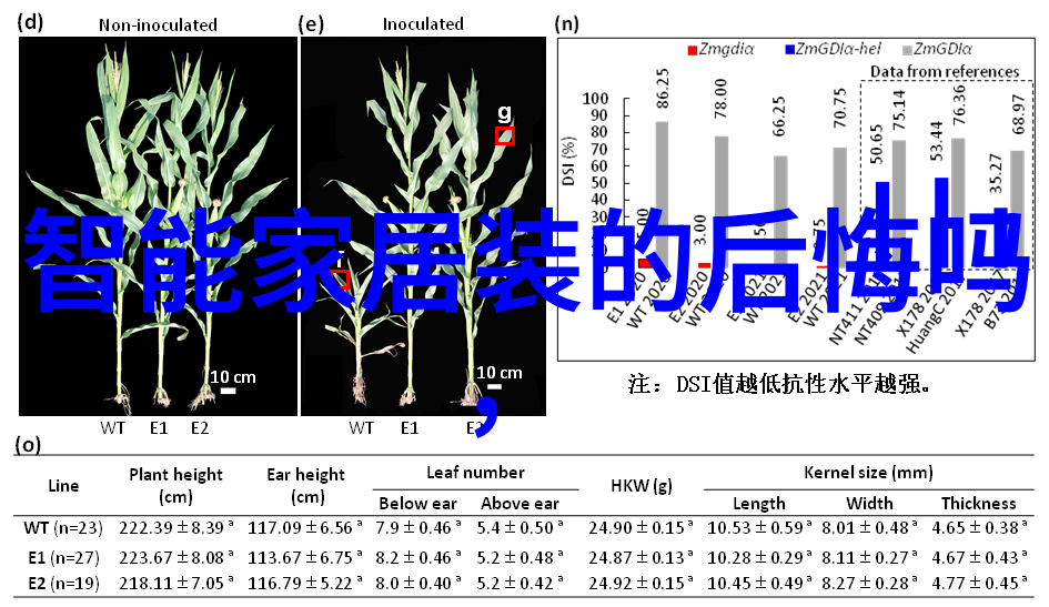 反复提及的HX-BZ-112S型COD消解器专为处理高粘度废水而设计