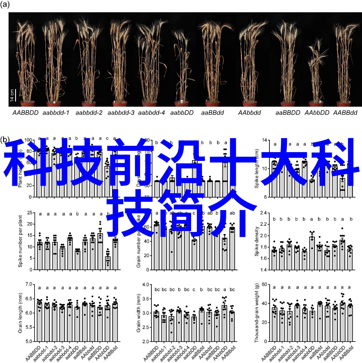 氢能工厂内部结构的精妙设计