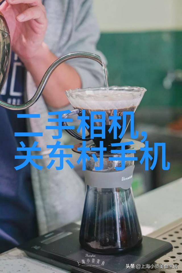 穿越成病娇师尊的宠儿一场奇异的爱情游戏