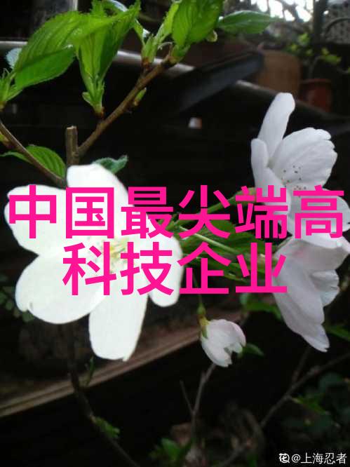 硬件的灵魂芯片材料探究