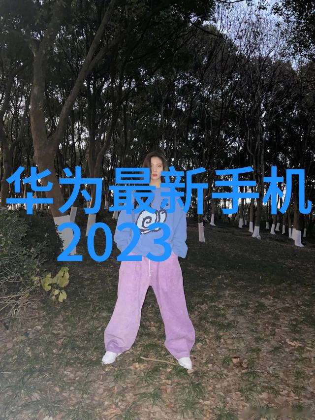 智能革命机器智慧的曙光与挑战