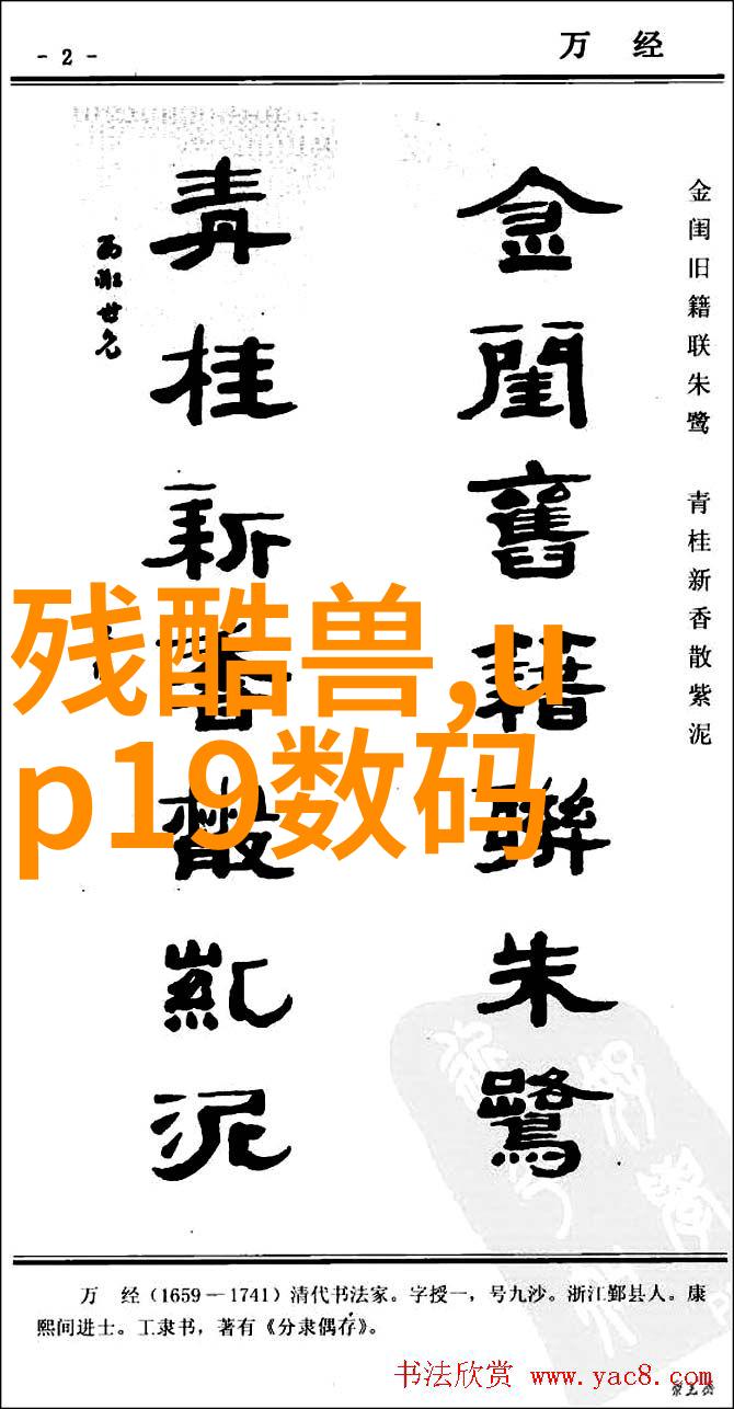 山东外国语职业技术大学语言桥梁未来智囊团