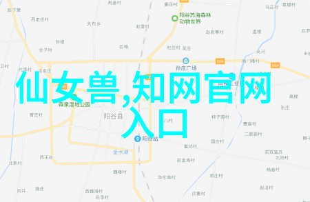 西方黑道的无尽力量臣服与反抗的边界