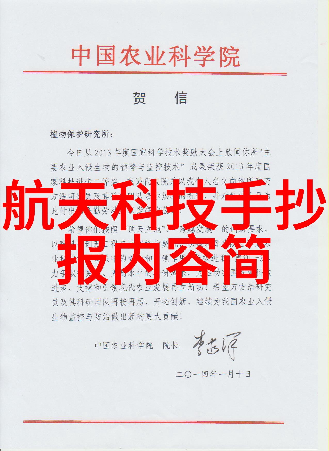 闪耀的不锈钢丝网填料的隐秘参数