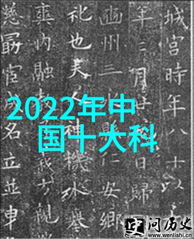 摄影艺术家捕捉瞬间的故事画家