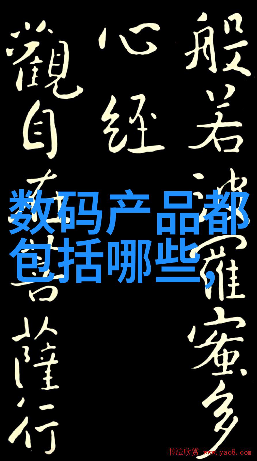 未来监管体系将如何强化以防止类似事件再次发生