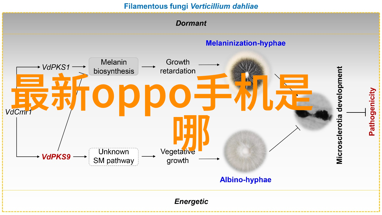 智能制造工程冷门专业的数字变革