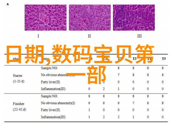 填料网的秘密如何在无形中连接世界