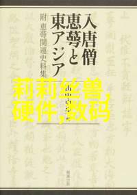 安全锁链与数字匠心商用密码应用的隐秘测评者