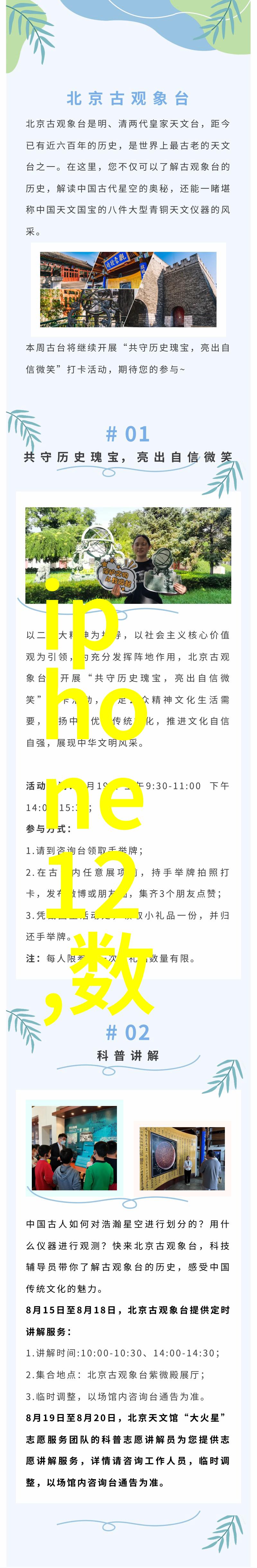 一阳吞三阴技术要求-精准调配解析一阳吞三阴在现代医疗中的应用与挑战