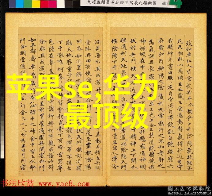 摄影与摄像的区别捕捉瞬间的艺术之争光影技巧与移动镜头的对决