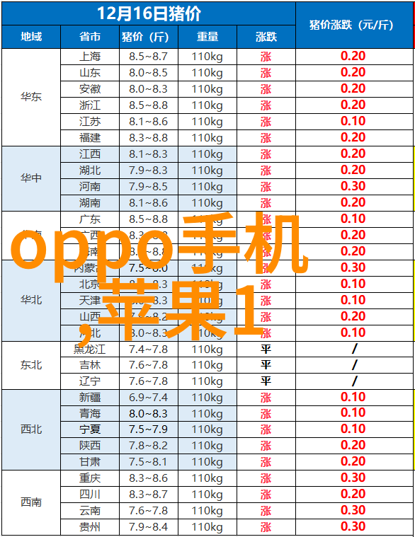 摄影教程一起成为拍照达人