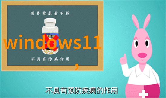 工程项目管理精英揭秘建造师的工作与挑战