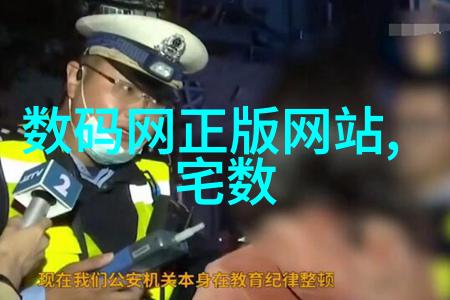 双馈风力发电机低电压穿越控制策略仿真其380v电机功率一览表