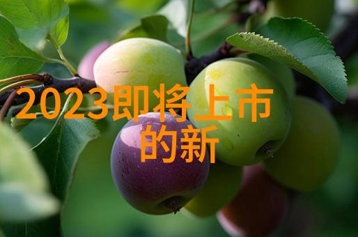 内蒙古财经大学培育金融英才的草原智囊