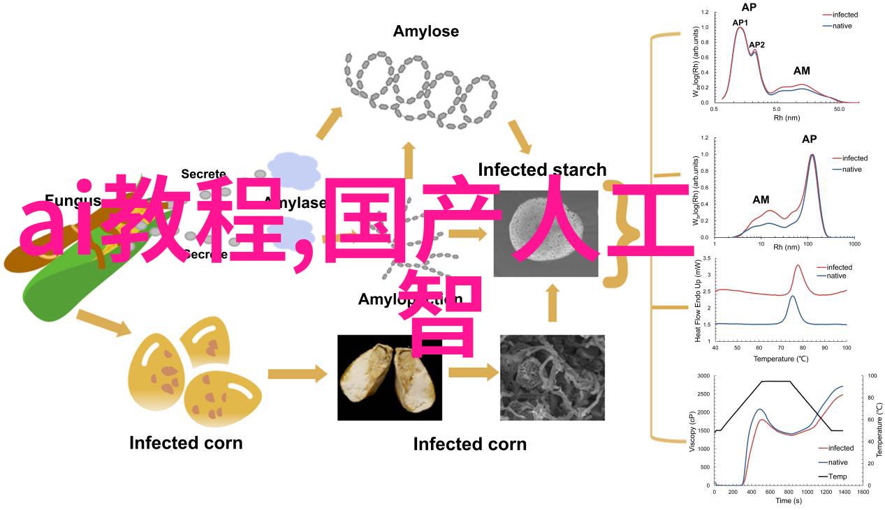 小孔成像原理光线与影象的奇妙交响