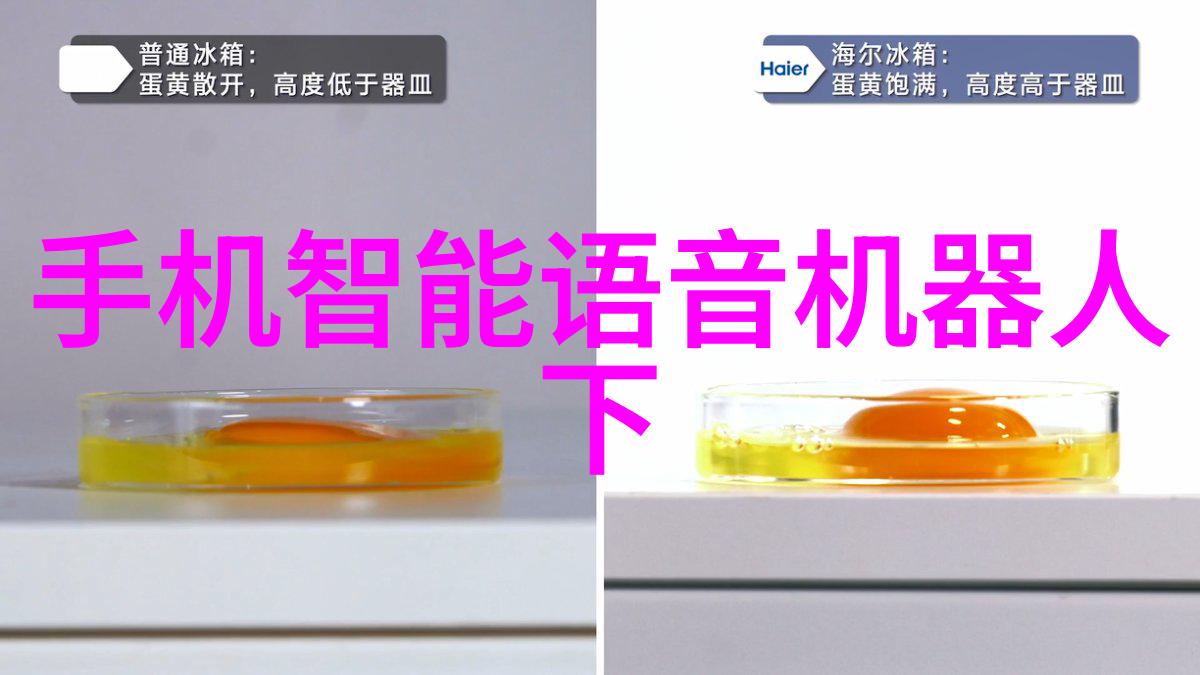 工业烘干机高效能的物流伙伴与食品安全守护者