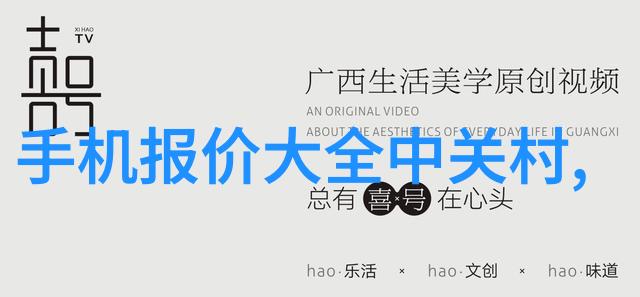 建筑设计规范解读构建安全美观与可持续的城市景观